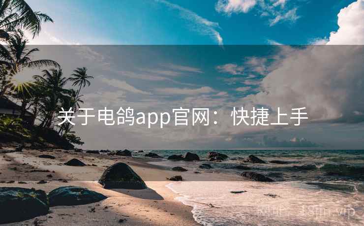 关于电鸽app官网：快捷上手