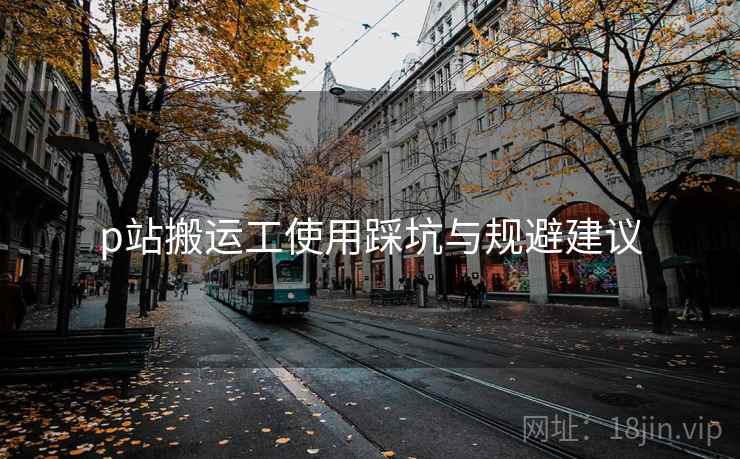 p站搬运工使用踩坑与规避建议 p站搬运工使用踩坑与规避建议