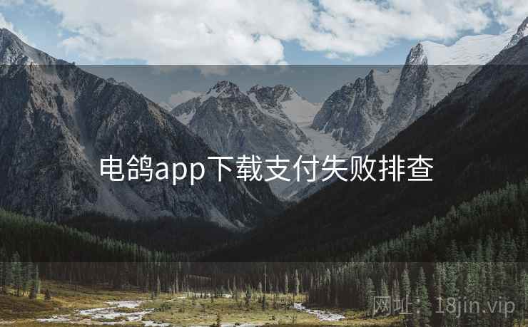 电鸽app下载支付失败排查 电鸽app下载支付失败排查