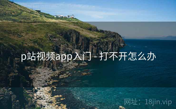 p站视频app入门 - 打不开怎么办 p站视频app入门 - 打不开怎么办