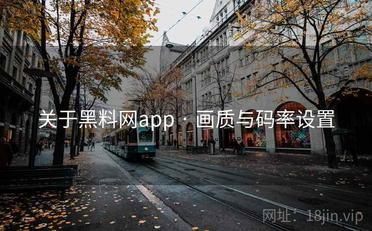 关于黑料网app · 画质与码率设置 关于黑料网app · 画质与码率设置