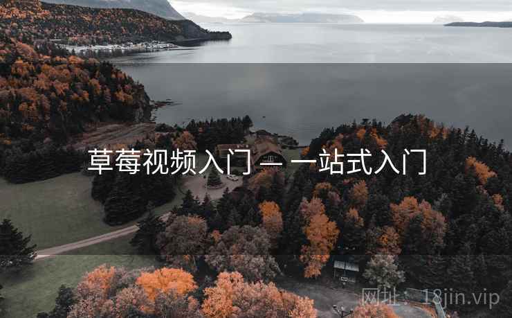 草莓视频入门 — 一站式入门